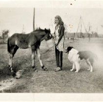 Omc 2022.011.002 Edit